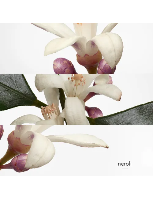 Eau de néroli doré