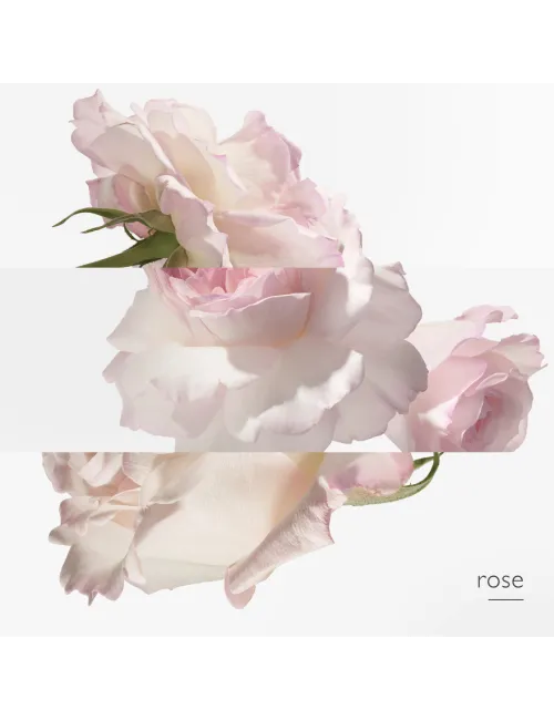 Eau de pamplemousse rose