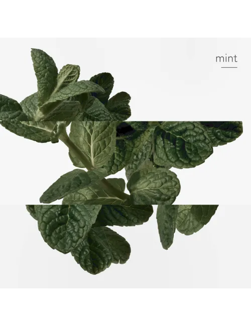 Eau d'orange verte