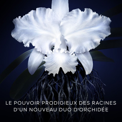 Orchidée Impériale - La Crème - La Recharge
