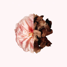 Irresistible - Parfum pour les cheveux