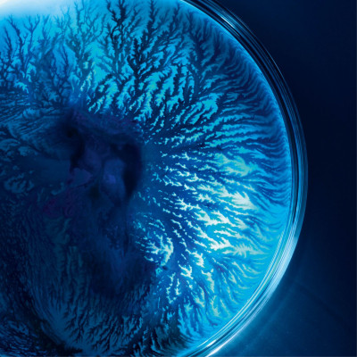 Life Plankton™ - Masque tissu hydratant et régénérant