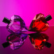 Loverdose Red Kiss - Eau de Parfum
