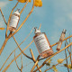 REPLICA Autumn Vibes - Eau de toilette