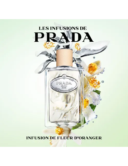 Infusion de Fleur D'Oranger