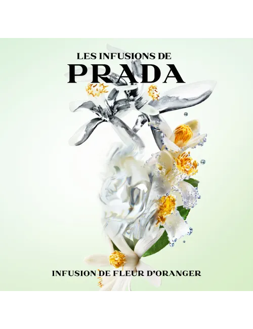 Infusion de Fleur D'Oranger