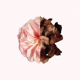 Irresistible Givenchy - Eau de parfum