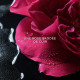La Petite Robe Noire Rose Noire - Eau de parfum