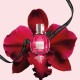 Flowerbomb Ruby Orchid - Eau de parfum