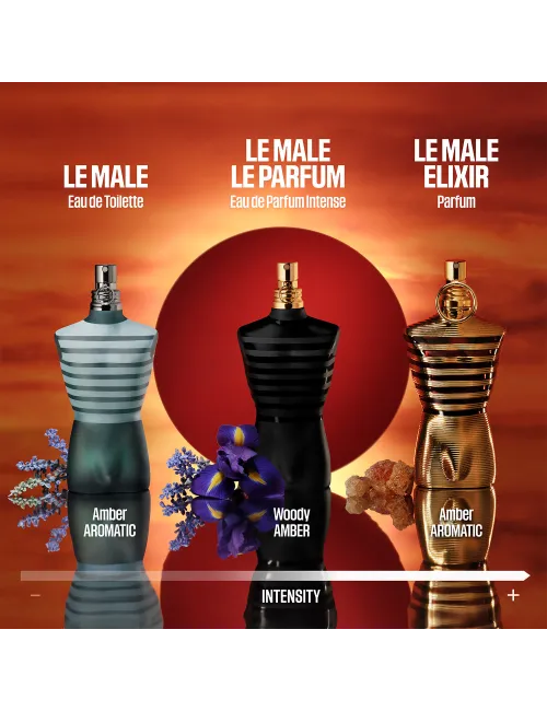 Le Male Le Parfum