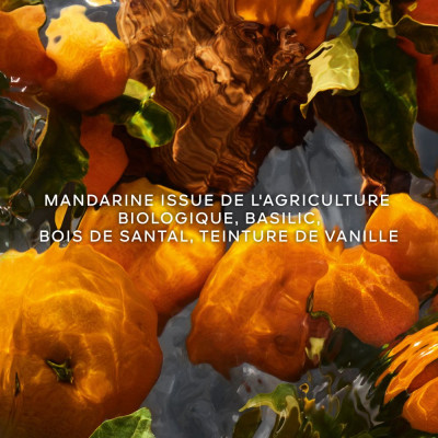 Aqua Allegoria Forte Mandarine Basilic - Eau de Parfum