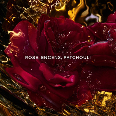 Absolus Allegoria Rose Amira - Eau de Parfum