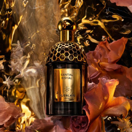 Absolus Allegoria Santal Royal - Eau de parfum