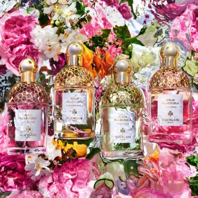 Aqua Allegoria Orange Soleia