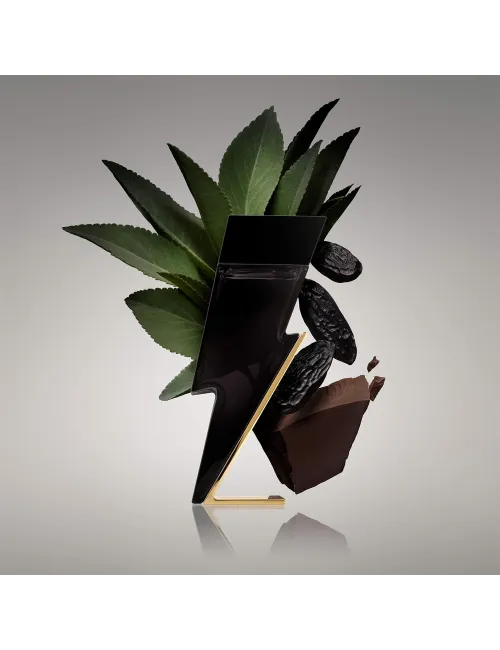 Bad Boy
