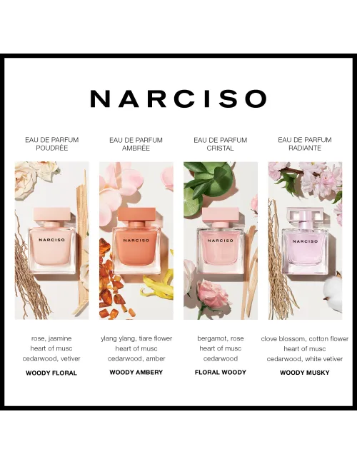 Narciso