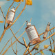 REPLICA Autumn Vibes - Eau de toilette