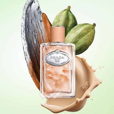 Infusion de Santal Chai - Eau de Parfum