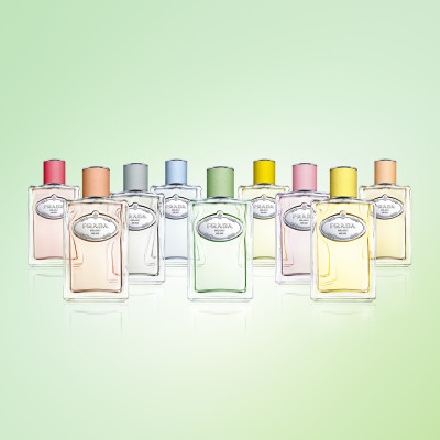 Infusion de Santal Chai - Eau de Parfum