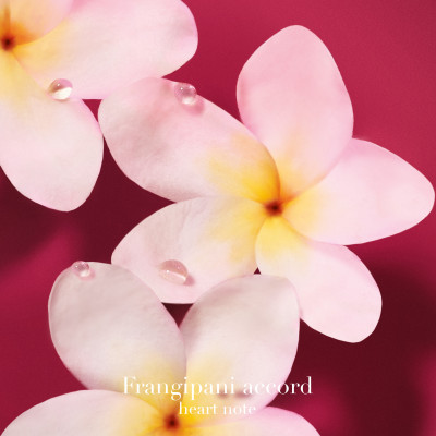 Power of You - Eau de Parfum