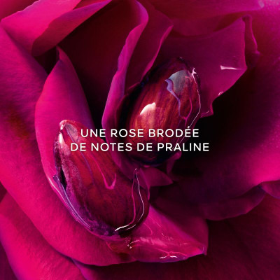 La Petite Robe Noire - Parfum