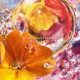 Aqua Allegoria Florabloom Perle - Eau de parfum sans alcool