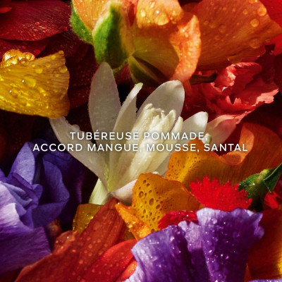 Coffret Aqua Allegoria Forte Florabloom - Eau de Parfum