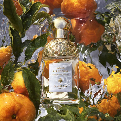 Coffret Aqua Allegoria Mandarine Basilic - Eau de toilette