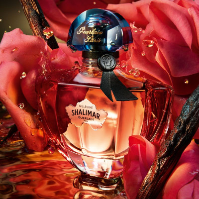 Shalimar Millesime Rose - Eau de parfum