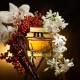 The One - Eau de parfum Intense
