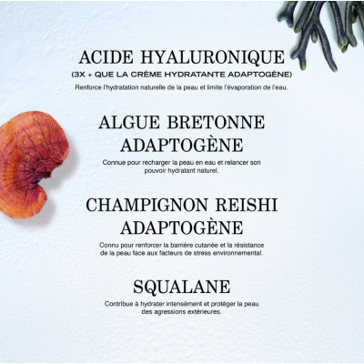 Source - Baume lèvres hydratant repulpant