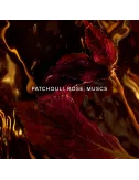 Absolus Allegoria Patchouli Ardent
