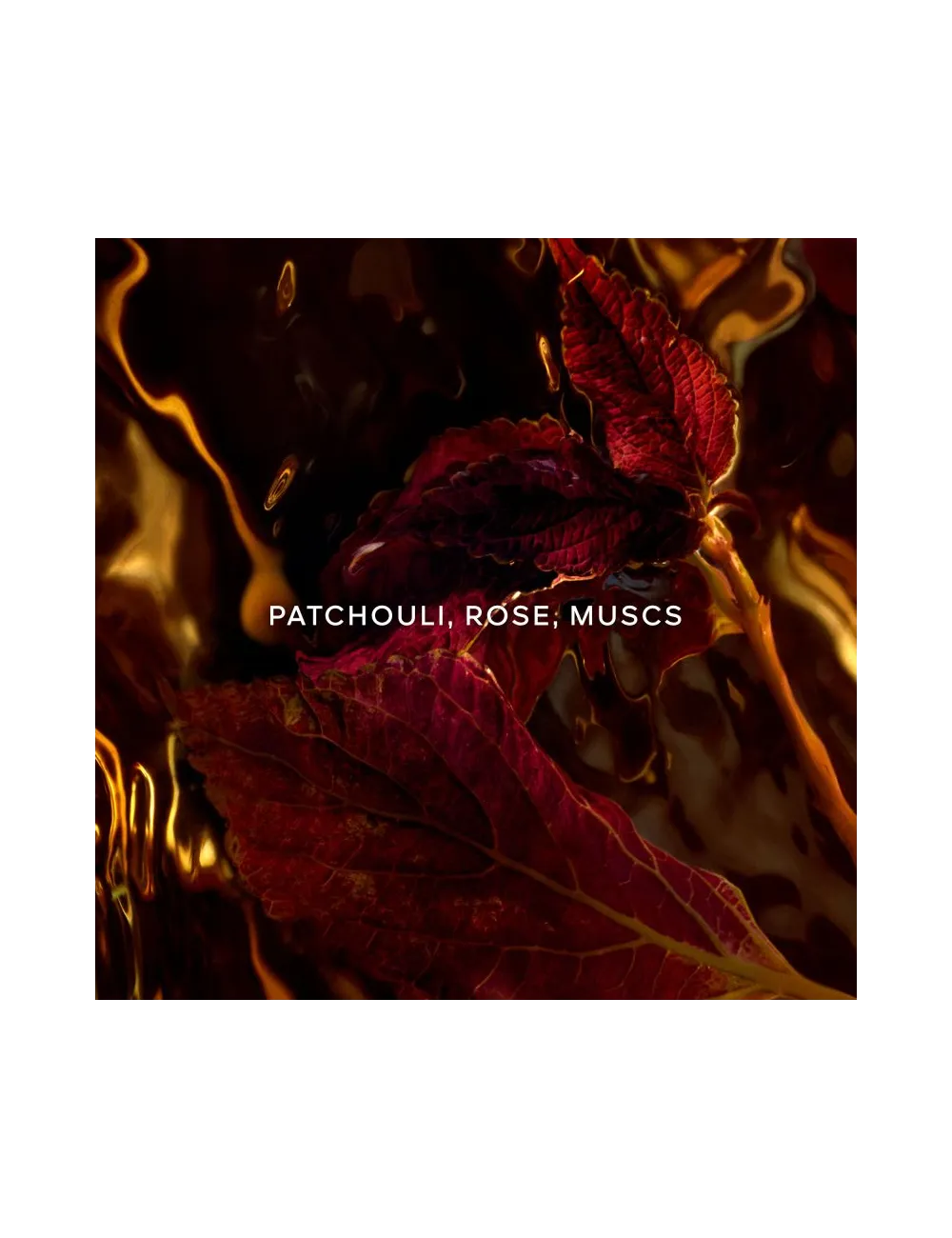 Absolus Allegoria Patchouli Ardent