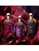 Absolus Allegoria Patchouli Ardent