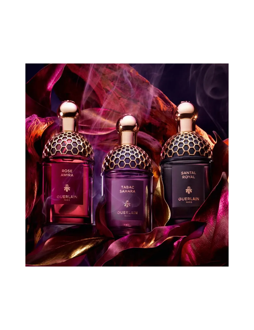 Absolus Allegoria Patchouli Ardent