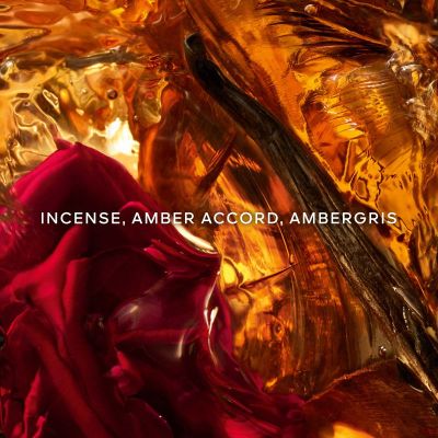 Absolus Allegoria Ambre Samar
