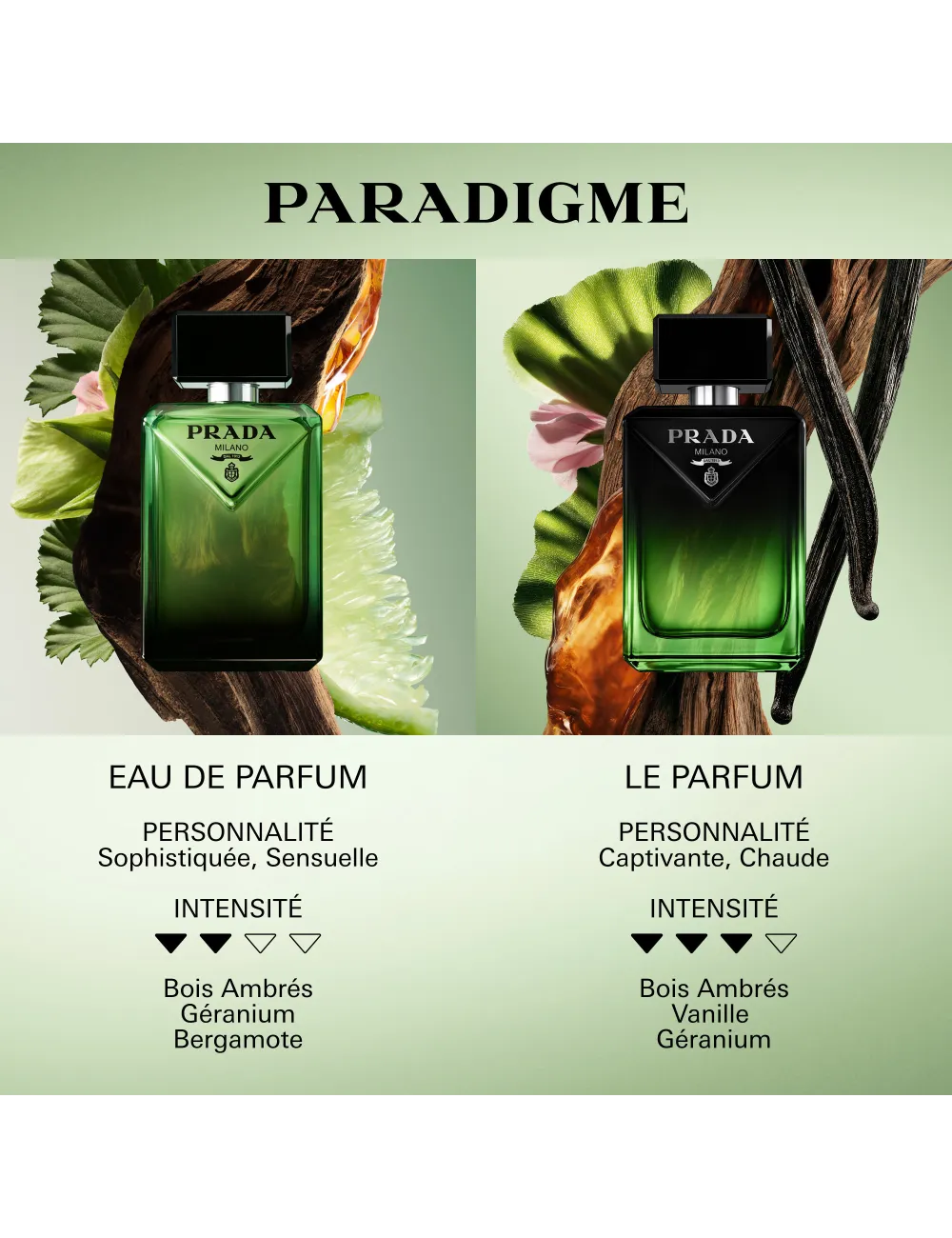 Prada Paradigme Le Parfum - Parfum
