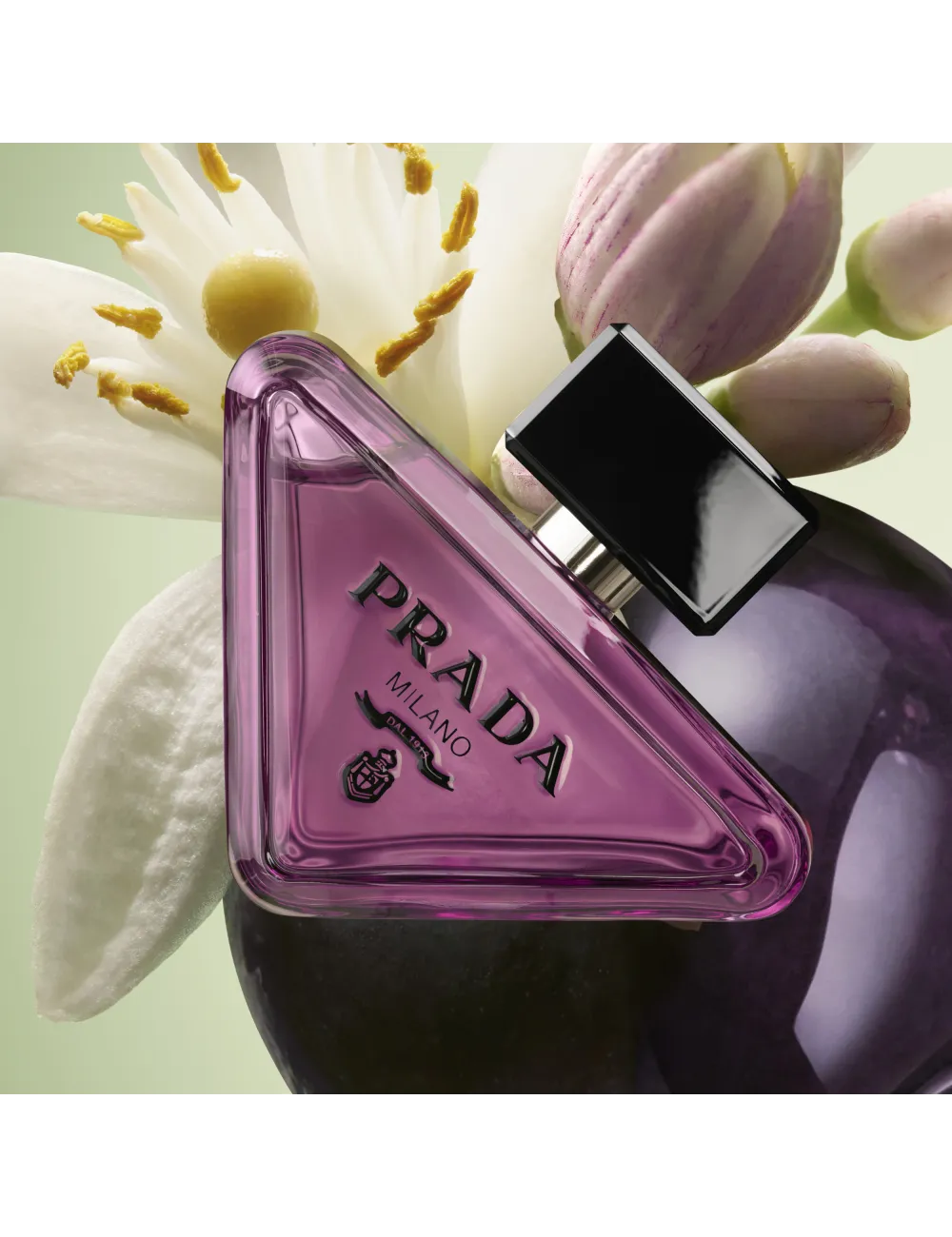 Prada Paradoxe Sweet Chemistry - Eau de parfum