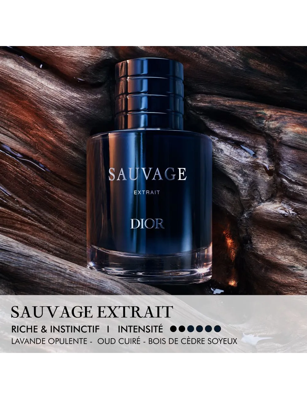 Sauvage - Extrait – Concentration exceptionnelle, bois et oud 