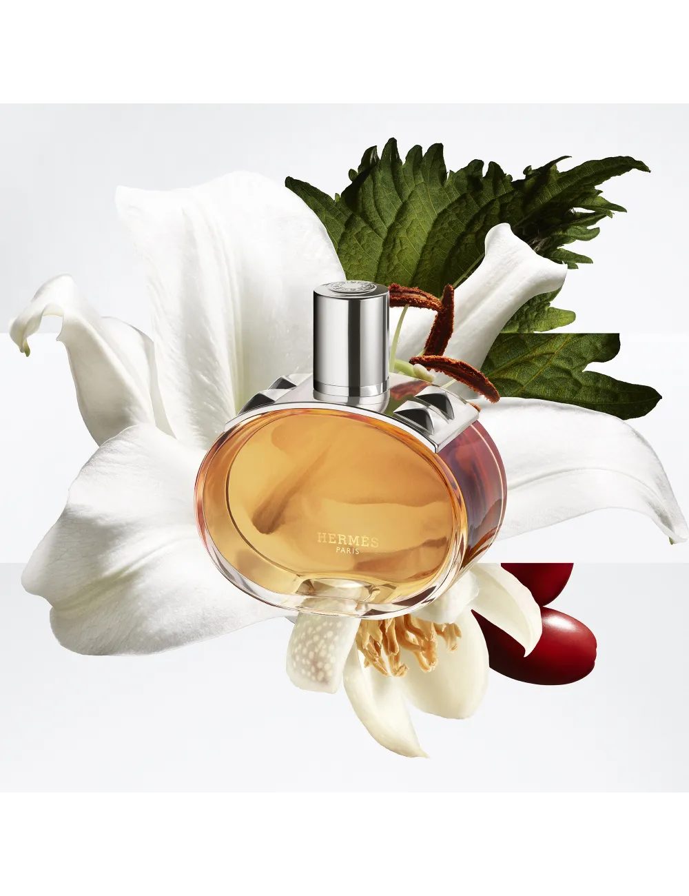 Barénia Pleine Fleur - Eau de Parfum
