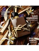 Libre Santal Couture - Eau de Parfum