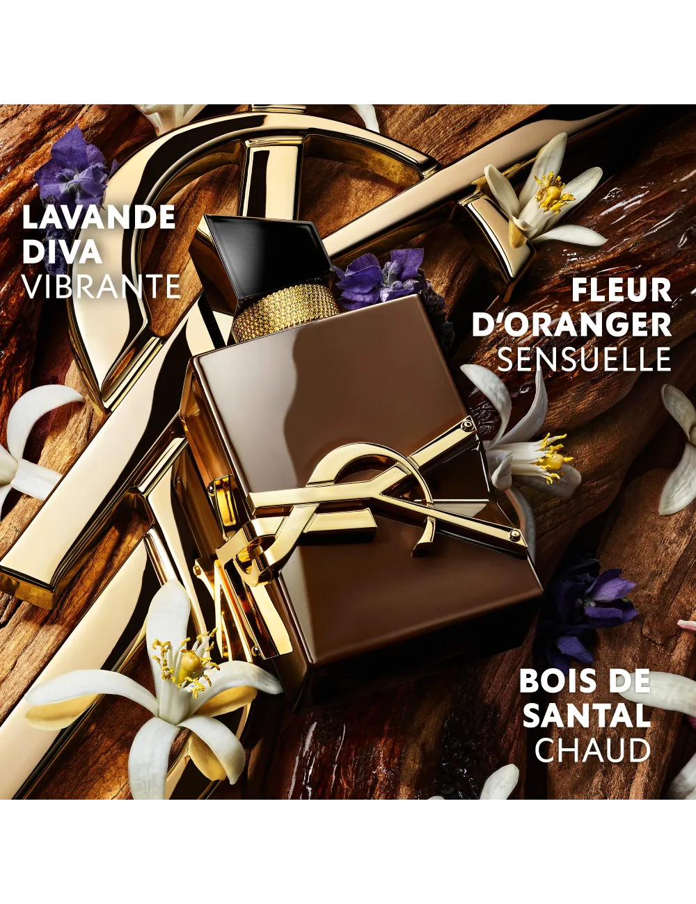 Libre Santal Couture - Eau de Parfum