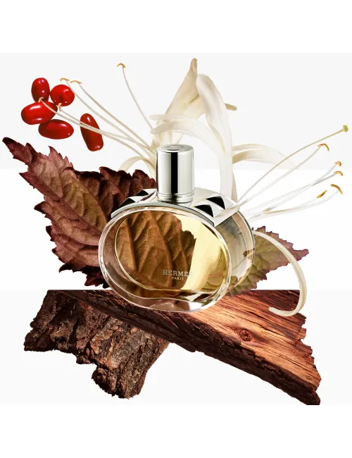 Coffret Barénia