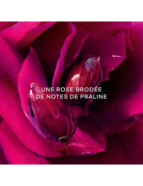 Coffret La Petite Robe Noire