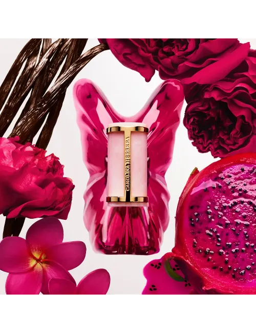 Coffret La Bomba